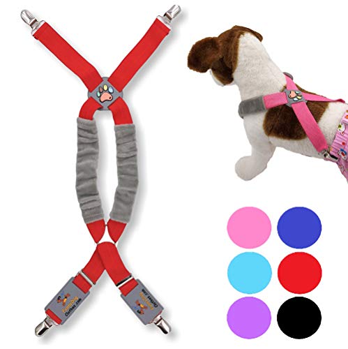 FunnyDogClothes Hosenträger für Hunde – Kleidung für Haustiere – Windeln – Hosen – Bauchbänder von klein, mittel und groß – (L/XXL: 11,3 kg – 45,4 kg, Rot) von FunnyDogClothes