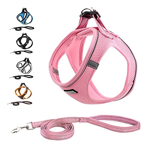 Hundegeschirr Katzengeschirr mit Leine, Anti Zug Geschirr Reflektierend Brustgeschirr für Kleine Hunde, Haustiere, Welpen, Katzen, Verstellbar Sicherheitsgeschirr-Rose||XXS (24-28 cm) von Funthy