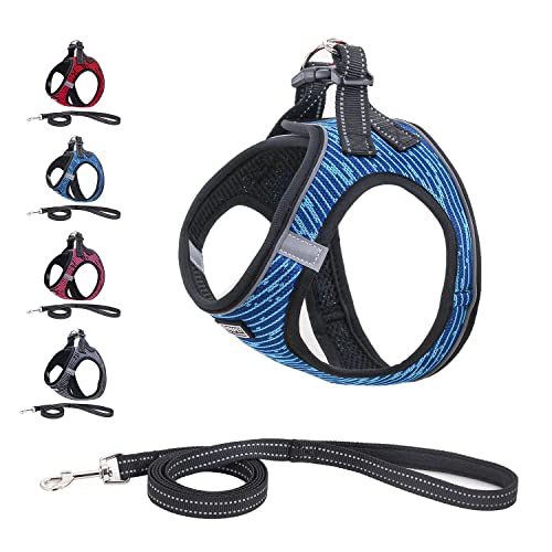 Step-in Hundegeschirr mit Leine Anti Zug Katzengeschirr Geschirr Reflektierend Weich Mesh Atmungsaktive Brustgeschirr für Kleine Hunde, Haustiere, Welpen, Katzen-Blue||M (Pack of 1) von Funthy