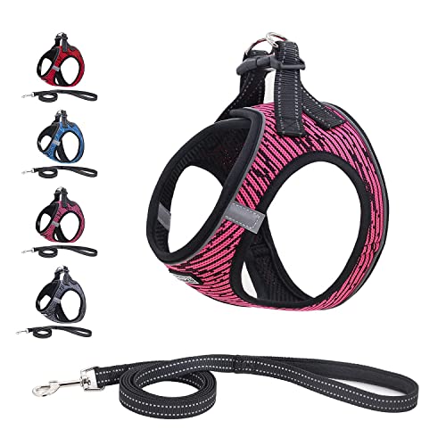 Step-in Hundegeschirr mit Leine Anti Zug Katzengeschirr Geschirr Reflektierend Weich Mesh Atmungsaktive Brustgeschirr für Kleine Hunde, Haustiere, Welpen, Katzen-Pink||L (Pack of 1) von Funthy