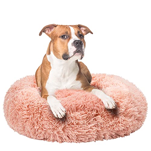 Fur & Bone Rundes Plüsch-Donut-Hunde- und Katzenbett, flauschig, selbstwärmend, waschbar, mit Rutschfester & wasserdichter Unterseite, beruhigendes Hunde-Donut-Bett, 60 cm, Rosa Fur & Bone Rundes Plüsch-Donut-Hunde- und Katzenbett, flauschig, selbstwärmend, waschbar, mit Rutschfester & wasserdichter Unterseite, beruhigendes Hunde-Donut-Bett, 60 cm, Rosa von Fur & Bone