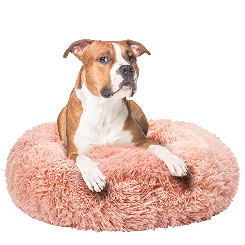 Fur & Bone Hundebett in Donut Rund | Hundebett & Katzenbett | Flauschiges Hundebett, Selbstwärmende Hundebetten | Waschbares Hundebett mit Rutschfester & Wasserdichter Unterseite Beruhigendes von Fur & Bone