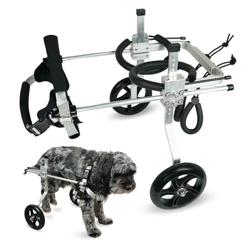 FurDrive Hunderollstuhl für Hinterbeine – klein, mittel und groß – leichte Aluminiumlegierung – verstellbarer Rollstuhl für Hunde mit behinderten Hinterbeinen – Katzenrollstuhl – Hundewagen mit Rädern von FurDrive