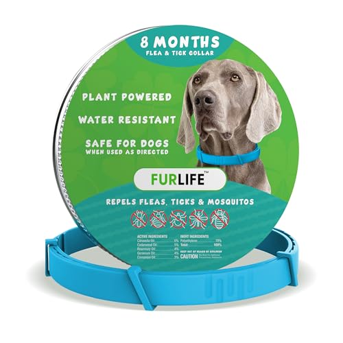 FurLife Blaues Hundehalsband – Wasserdichtes Haustierhalsband für Hunde, sicher für alle Rassen FurLife Blaues Hundehalsband – Wasserdichtes Haustierhalsband für Hunde, sicher für alle Rassen von FurLife