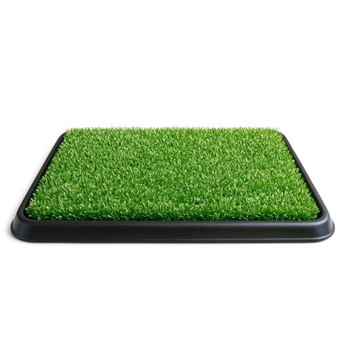 Pet Green Töpfchentrainingstoilette Kunstrasen - Nachhaltige Indoor Hundegrasunterlage mit Tablett für Wohnung, Zuhause - Hundetöpfchen Tablett Haustiermatte für einfaches Training - Leicht zu Pet Green Töpfchentrainingstoilette Kunstrasen - Nachhaltige Indoor Hundegrasunterlage mit Tablett für Wohnung, Zuhause - Hundetöpfchen Tablett Haustiermatte für einfaches Training - Leicht zu von Furacão Pet