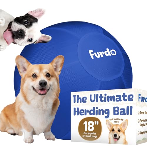 Furdo Herding Ball für Hunde, für australischen Schäferhund, für Rinder, Border Collie, für Blue Heelers und andere kleine bis mittelgroße Hunde, Herding Hundespielzeug, Pferdeball, Blau Furdo Herding Ball für Hunde, für australischen Schäferhund, für Rinder, Border Collie, für Blue Heelers und andere kleine bis mittelgroße Hunde, Herding Hundespielzeug, Pferdeball, Blau von Furdo