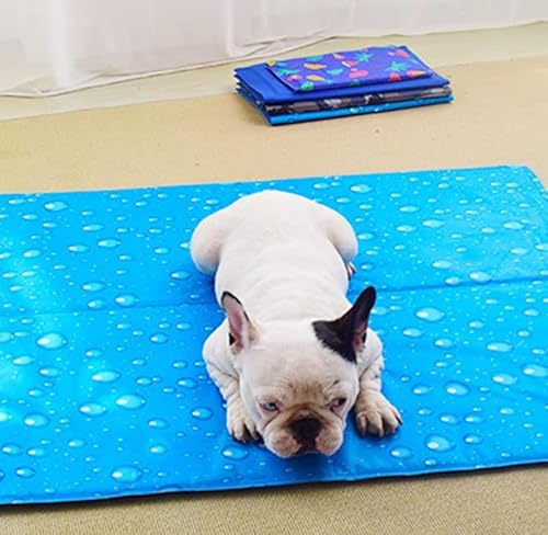 Furfect Dreams, Hunde/Katze Kühlmatte, Große Größe, Druckaktivierte Kühlmatte für Hunde/Katzen, Kein Wasser, Strom oder Kühlung Erforderlich, Ungiftiges Hundekühlkissen, Ideal für Zuhause und Reisen Furfect Dreams, Hunde/Katze Kühlmatte, Große Größe, Druckaktivierte Kühlmatte für Hunde/Katzen, Kein Wasser, Strom oder Kühlung Erforderlich, Ungiftiges Hundekühlkissen, Ideal für Zuhause und Reisen von Furfect Dreams