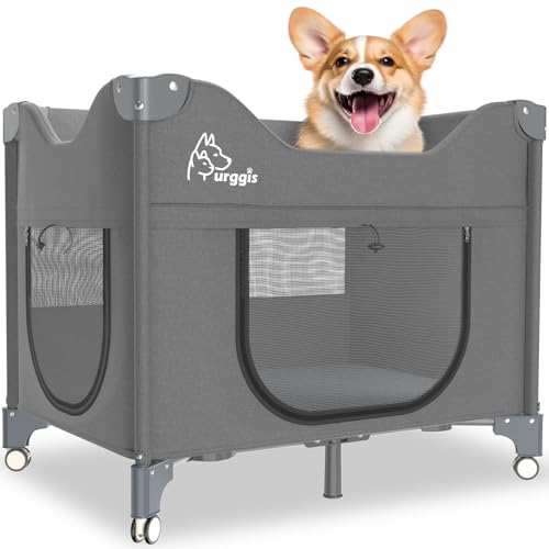 Furggis Bettenrand-Lounge Haustierbett, Erhöhtes Etagenbett für mittelgroße Haustiere wie Katzen und Hunde (Grau) von Furggis