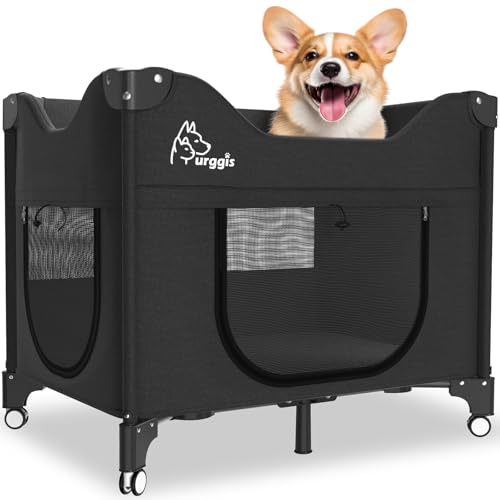 Furggis Bettenrand-Lounge Haustierbett, Erhöhtes Etagenbett für mittelgroße Haustiere wie Katzen und Hunde (Schwarz) von Furggis
