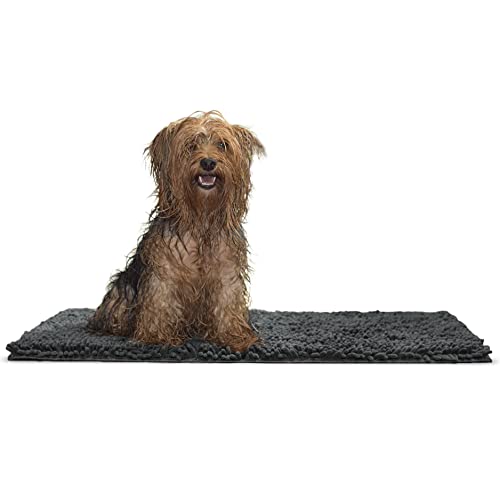 Furhaven Medium Pet Door Mat Muddy Paws Absorbent Chenille Shammy Rug, Washable - Charcoal (Gray), Medium von Furhaven