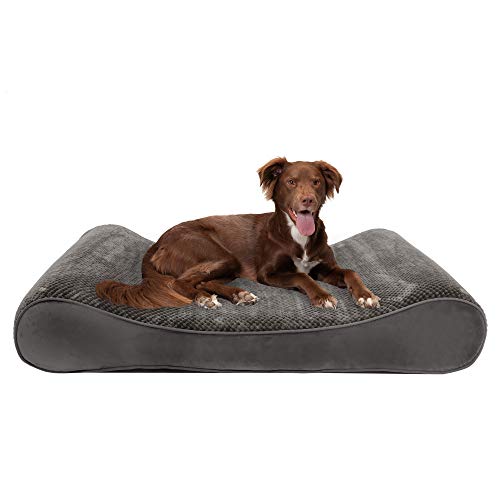 Furhaven Hundebett aus Memory-Schaum für große Hunde mit abnehmbarem, waschbarem Bezug, für Hunde bis zu 68 kg, Minky-Plüsch und Samt, Luxus-Liege, Konturmatratze – Grau, Jumbo Plus/XXL Furhaven Hundebett aus Memory-Schaum für große Hunde mit abnehmbarem, waschbarem Bezug, für Hunde bis zu 68 kg, Minky-Plüsch und Samt, Luxus-Liege, Konturmatratze – Grau, Jumbo Plus/XXL von Furhaven