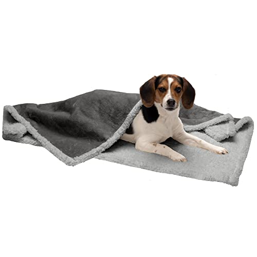 Furhaven Medium Waterproof & Self-Warming Soft-Edged Terry & Sherpa Dog Blanket, Washable - Silver Gray, Medium von Furhaven