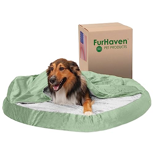Furhaven Hundebett aus Memory-Schaum, rund, 111,8 cm, mit abnehmbarem, waschbarem Bezug, für Hunde bis zu 36 kg, Microvelvet Snuggery – Salbei (Grün), 111,8 cm von Furhaven