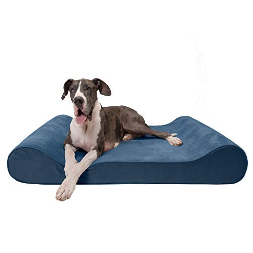 Furhaven Microvelvet Luxe Lounger stützendes orthopädisches Schaumstoff-Hundebett – Stellar Blue, Riesen (XXXL) von Furhaven