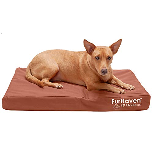 Furhaven Medium Orthopedic Dog Bed Water-Resistant Indoor/Outdoor Logo Print Oxford Polycanvas Mattress w/Removable Washable Cover - Chestnut, Medium von Furhaven