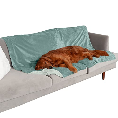 Furhaven XL Waterproof Two-Tone Luxe Velvet Dog Blanket, Washable - Celadon Green, Extra Large Furhaven XL Waterproof Two-Tone Luxe Velvet Dog Blanket, Washable - Celadon Green, Extra Large von Furhaven