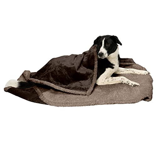 Furhaven XL Waterproof & Self-Warming Soft-Edged Terry & Sherpa Dog Blanket, Washable - Espresso, Extra Large von Furhaven