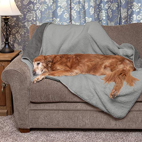 Furhaven wasserdichte und selbstwärmende Überwurfdecke für Hunde und Hauskatzen, waschbar und reflektiert die Körperwärme, Frottee- und Sherpa-Hundedecke, Silbergrau, Größe XL Furhaven wasserdichte und selbstwärmende Überwurfdecke für Hunde und Hauskatzen, waschbar und reflektiert die Körperwärme, Frottee- und Sherpa-Hundedecke, Silbergrau, Größe XL von Furhaven