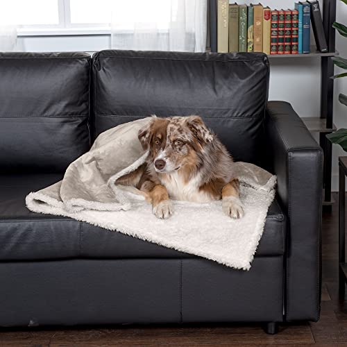 Furhaven wasserdichte & selbstwärmende Überwurfdecke für Hunde & Wohnungskatzen, waschbar & reflektiert die Körperwärme – Hundedecke aus Frottee & Sherpa – Taube, Größe L Furhaven wasserdichte & selbstwärmende Überwurfdecke für Hunde & Wohnungskatzen, waschbar & reflektiert die Körperwärme – Hundedecke aus Frottee & Sherpa – Taube, Größe L von Furhaven