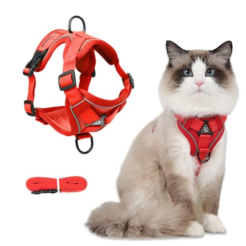 FurrPhunny Katzengeschirr und Leine, ausbruchsicher, verstellbar und bequem, ideal für Spaziergänge mit der Katze im Freien, Hundeweste, für Welpen, Kätzchen, mittelgroße und große Katzen, Rot, Größe von FurrPhunny