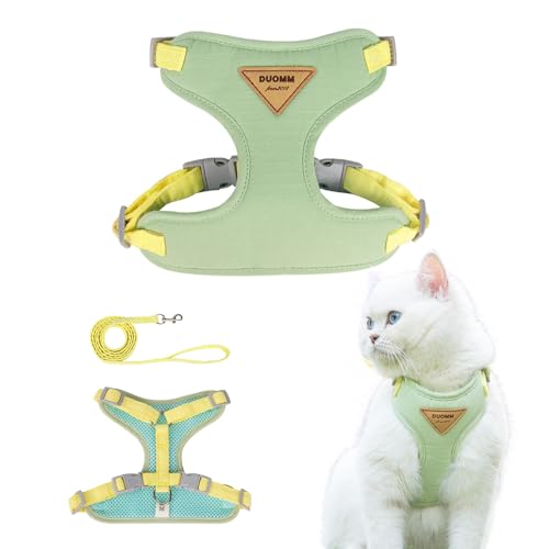 FurrPhunny Katzengeschirr und Leine, ausbruchsicher, verstellbar und bequem, ideal für Spaziergänge mit der Katze im Freien – Hundegeschirr für Welpen, Kätzchen, mittelgroße und große Katzen (Grün, FurrPhunny Katzengeschirr und Leine, ausbruchsicher, verstellbar und bequem, ideal für Spaziergänge mit der Katze im Freien – Hundegeschirr für Welpen, Kätzchen, mittelgroße und große Katzen (Grün, von FurrPhunny