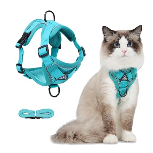FurrPhunny Katzengeschirr und Leine, ausbruchsicher, verstellbar und bequem, ideal für Spaziergänge mit der Katze im Freien – Hundegeschirr für Welpen, Kätzchen, mittelgroße und große Katzen FurrPhunny Katzengeschirr und Leine, ausbruchsicher, verstellbar und bequem, ideal für Spaziergänge mit der Katze im Freien – Hundegeschirr für Welpen, Kätzchen, mittelgroße und große Katzen von FurrPhunny
