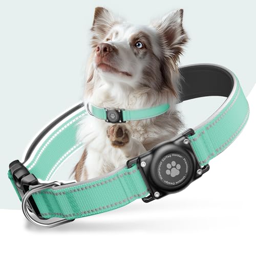 Airtag Hundehalsband - 100% Wasserdicht Air Tag Hundehalsbandhalter für Apple AirTag, reflektierend, weich gepolstert, ewig, GPS-Hundehalsband für kleine, mittelgroße und große Hunde (Blaugrün, L) von Furrigo