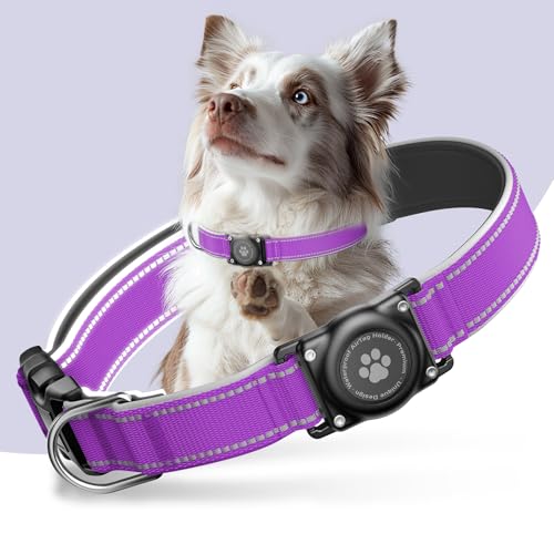 Airtag Hundehalsband - 100% Wasserdicht Air Tag Hundehalsbandhalter für Apple AirTag, reflektierend, weich gepolstert, ewig, GPS-Hundehalsband für kleine, mittelgroße und große Hunde (Lila, M) von Furrigo