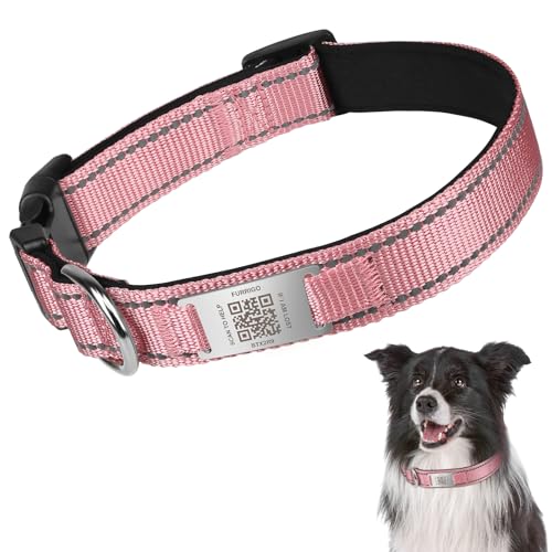 Hundehalsband mit QR-Tag - Reflektierendes Hundehalsband mit QR-Namensschild - Gepolsterte, verstellbare, weiche Hundehalsbänder für sicheres nächtliches Spazierengehen, passend für kleine, Hundehalsband mit QR-Tag - Reflektierendes Hundehalsband mit QR-Namensschild - Gepolsterte, verstellbare, weiche Hundehalsbänder für sicheres nächtliches Spazierengehen, passend für kleine, von Furrigo