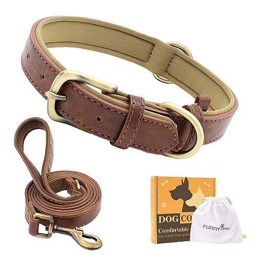 Furry Friends Hundehalsband Leder mit Leine, Gepolstert lederhalsband und Leine Set, Robust, Hundehalsband für den mittleren und kleinen Hund(L- 43-55cm, Braun) von Furry friends