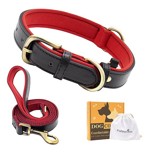 Furry Friends Hundehalsband Leder mit Leine, Gepolstert lederhalsband und Leine Set, Robust, Hundehalsband für den mittleren und kleinen Hund(L- 43-55cm, Schwarz Rot) von Furry friends