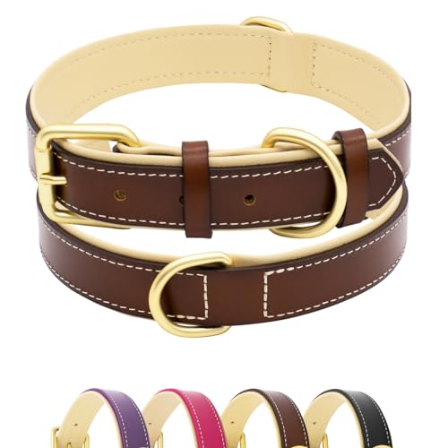 Furry friends Hundehalsband Leder, Robust Echtes Lederhalsband, Weich Gepolstert Hundehalsband für Großen, Mittelgroße und Kleinen Hund(Braun, L- 47-57cm) von Furry friends