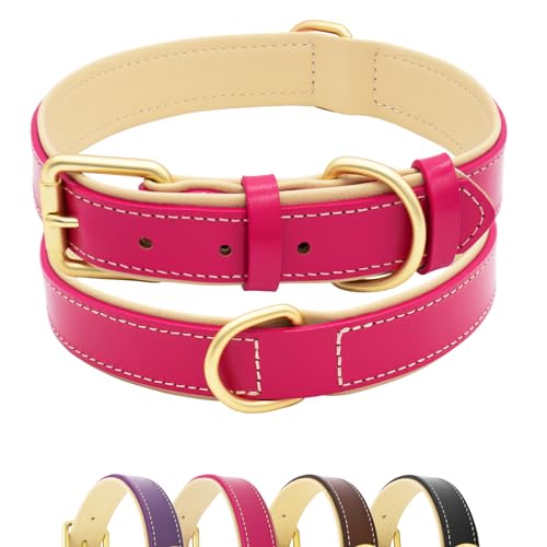 Furry friends Hundehalsband Leder, Robust Echtes Lederhalsband, Weich Gepolstert Hundehalsband für Großen, Mittelgroße und Kleinen Hund(Hotpink, L- 47-57cm) von Furry friends