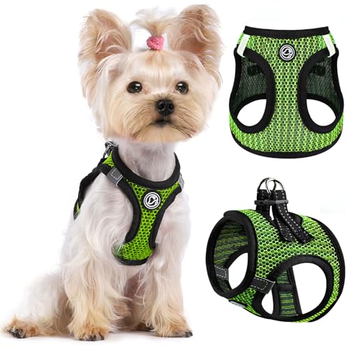 Hundegeschirr für kleine Hunde unter 10 kg, luftdurchlässiges Netzgewebe, reflektierend, leicht, für Hunde und Katzen, Grün Hundegeschirr für kleine Hunde unter 10 kg, luftdurchlässiges Netzgewebe, reflektierend, leicht, für Hunde und Katzen, Grün von Furrymong