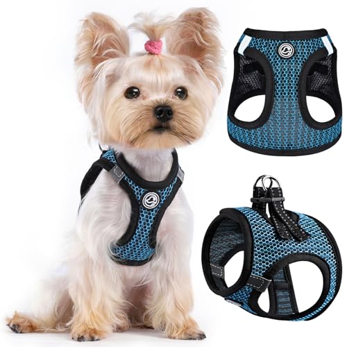 No Pull Hundegeschirr für kleine Hunde unter 10 kg, Step-in-Air-Mesh-Welpe, reflektierend, leicht, für Hunde und Katzen, Blau, Größe XXXS von Furrymong