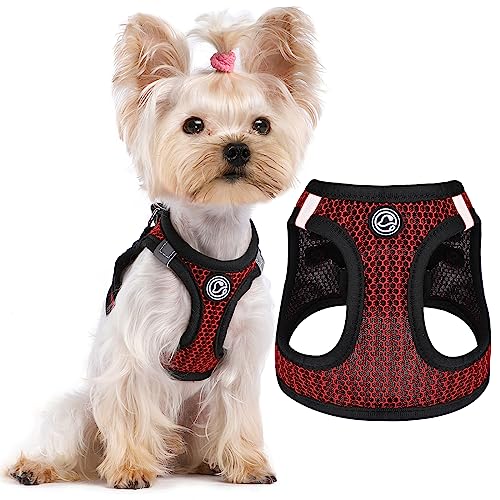 Tiny Dog Harness All Weather Diamond Mesh Reflective Extra Small Dog Harness No Pull Step in Lightweight Vest Harness for Puppy Small Dogs and Cats, Red, XS von Furrymong
