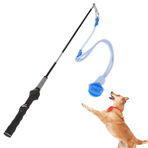 Flirt Pole für Hunde Interaktives Hundespielzeug für große, mittelgroße und kleine Hunde, Sport-Hunde-Teaser-Stange zum Tauziehen, Flirtstange mit Köderball (verlängerte Stange + elastisches Seil) von Furtent