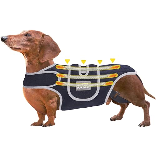 Furtentㅤㅤ Rückenstütze für Hunde mit IVDD, weiche und atmungsaktive Haustierrückenbandage Arthritis, chirurgische Genesung und Rehabilitation, reflektierende Brustbandagen für Haustiere hilft Furtentㅤㅤ Rückenstütze für Hunde mit IVDD, weiche und atmungsaktive Haustierrückenbandage Arthritis, chirurgische Genesung und Rehabilitation, reflektierende Brustbandagen für Haustiere hilft von Furtent