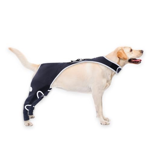 Große Hundebeinmanschette gegen Lecken, abriebfeste Hinterbein-Erholungsmanschette, männliche Hündinnen, gegen Lecken von Wunden, E-Halsband und Kegel, alternativer chirurgischer Anzug, hinten beide Große Hundebeinmanschette gegen Lecken, abriebfeste Hinterbein-Erholungsmanschette, männliche Hündinnen, gegen Lecken von Wunden, E-Halsband und Kegel, alternativer chirurgischer Anzug, hinten beide von Furtent