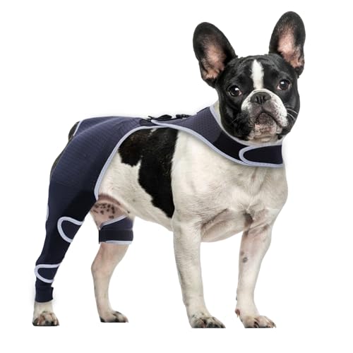 Hinterbeinmanschette für Hunde, um Lecken zu verhindern, atmungsaktiv und abriebfest, Leckärmel, E-Halsband und Kegel, alternativer chirurgischer Anzug für männliche Frauen, hinteres rechtes Bein Hinterbeinmanschette für Hunde, um Lecken zu verhindern, atmungsaktiv und abriebfest, Leckärmel, E-Halsband und Kegel, alternativer chirurgischer Anzug für männliche Frauen, hinteres rechtes Bein von Furtent