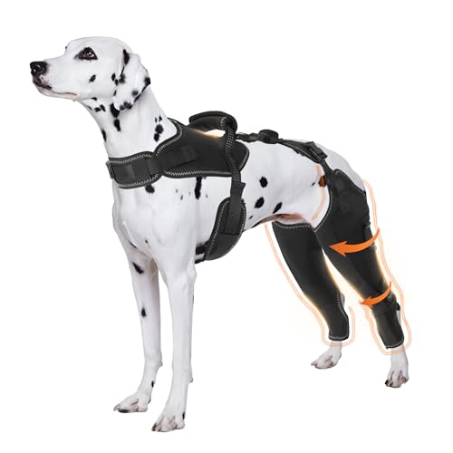 Hunde-Akl-Bandage für Hinterbeine, hält Gelenke warm und Schutz, verbessertes verstellbares Bein und Hüfte, Hunde-Hinterbein-Wickelgeschirr-Set für Hinterbein-Wundpflege und Leckprävention, Größe XXL Hunde-Akl-Bandage für Hinterbeine, hält Gelenke warm und Schutz, verbessertes verstellbares Bein und Hüfte, Hunde-Hinterbein-Wickelgeschirr-Set für Hinterbein-Wundpflege und Leckprävention, Größe XXL von Furtent