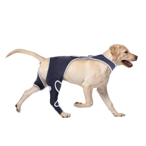 Hunde-Beinmanschette für große Hunde, Wunden verhindern Lecken, Erholung, Rückbeinschutz, E-Halsband und Kegel, alternativer chirurgischer Anzug für männliche und weibliche Hunde, hinteres rechtes Hunde-Beinmanschette für große Hunde, Wunden verhindern Lecken, Erholung, Rückbeinschutz, E-Halsband und Kegel, alternativer chirurgischer Anzug für männliche und weibliche Hunde, hinteres rechtes von Furtent