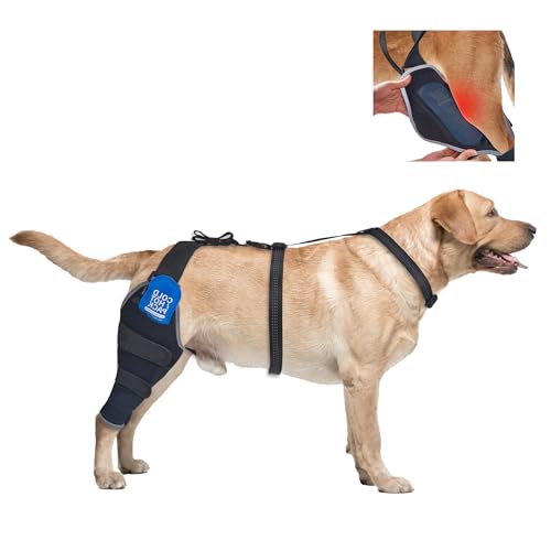 Hunde-Kniebandage für gerissenes ACL-Hinterbein, Hundebein-Bandagen mit Heiß-/Kaltgelpackungen, hilft bei Gelenksteifheit und Bänderverletzungen, Hinteres rechtes Bein, M Hunde-Kniebandage für gerissenes ACL-Hinterbein, Hundebein-Bandagen mit Heiß-/Kaltgelpackungen, hilft bei Gelenksteifheit und Bänderverletzungen, Hinteres rechtes Bein, M von Furtent