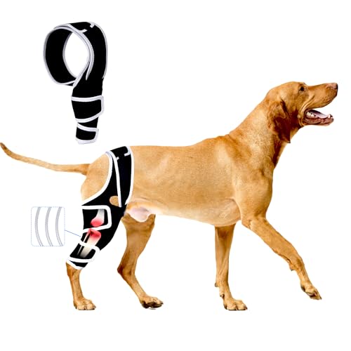 Hunde-Kniebandage für gerissenes ACL-Hinterbein, verstellbare Hunde-Kniebandagen Hinterbein oder Vorderbeine, Schmerzlinderung, Hüftdysplasie, Unterstützung CCL-Bandage für Hunde von Furtent