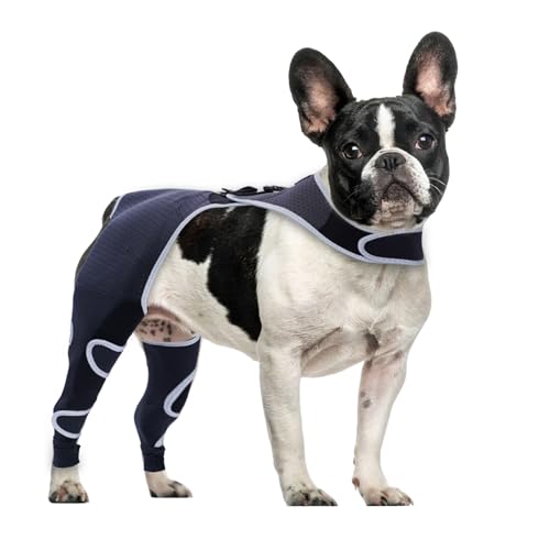 Hundebeinmanschette gegen Lecken, abriebfeste Hinterbein-Erholungsmanschette, für männliche und weibliche Hunde, gegen Lecken von Wunden, E-Halsband und Kegel, alternativer chirurgischer Anzug, hinten von Furtent