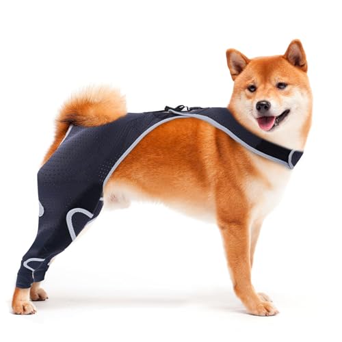 Hundebeinmanschette gegen Lecken, abriebfeste Hinterbein-Erholungsmanschette, männliche und weibliche kleine Hunde, gegen Lecken von Wunden, E-Halsband und Kegel, alternativer chirurgischer Anzug Hundebeinmanschette gegen Lecken, abriebfeste Hinterbein-Erholungsmanschette, männliche und weibliche kleine Hunde, gegen Lecken von Wunden, E-Halsband und Kegel, alternativer chirurgischer Anzug von Furtent