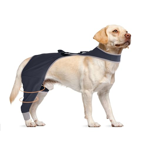 Hundebeinmanschette gegen Lecken für kleine Hunde, bequeme und atmungsaktive Kegelalternative nach dem Sugery, verhindert Haustierwunden vom Lecken und Beißen, Hinteres rechtes Bein, L Hundebeinmanschette gegen Lecken für kleine Hunde, bequeme und atmungsaktive Kegelalternative nach dem Sugery, verhindert Haustierwunden vom Lecken und Beißen, Hinteres rechtes Bein, L von Furtent