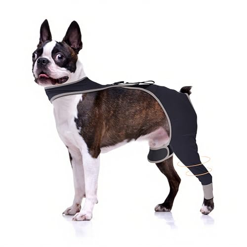 Hundebeinmanschette gegen Lecken für kleine Hunde, bequeme und atmungsaktive Kegelalternative nach dem Sugery, verhindert Haustierwunden vom Lecken und Beißen, Hinteres rechtes Bein, M Hundebeinmanschette gegen Lecken für kleine Hunde, bequeme und atmungsaktive Kegelalternative nach dem Sugery, verhindert Haustierwunden vom Lecken und Beißen, Hinteres rechtes Bein, M von Furtent