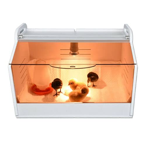Brutinkubator Küken Kükenwärmebox Kükenhaus mit Thermometer und Lampe Küken Aufzucht Box Brutinkubator für Geflügel, Reptilien und Kleintiere Brutbox Inkubator 220V Brutinkubator Küken Kükenwärmebox Kükenhaus mit Thermometer und Lampe Küken Aufzucht Box Brutinkubator für Geflügel, Reptilien und Kleintiere Brutbox Inkubator 220V von Futchoy