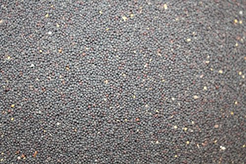 10kg FutterXL Raps, direkt vom Landwirt 10kg FutterXL Raps, direkt vom Landwirt von FutterXL